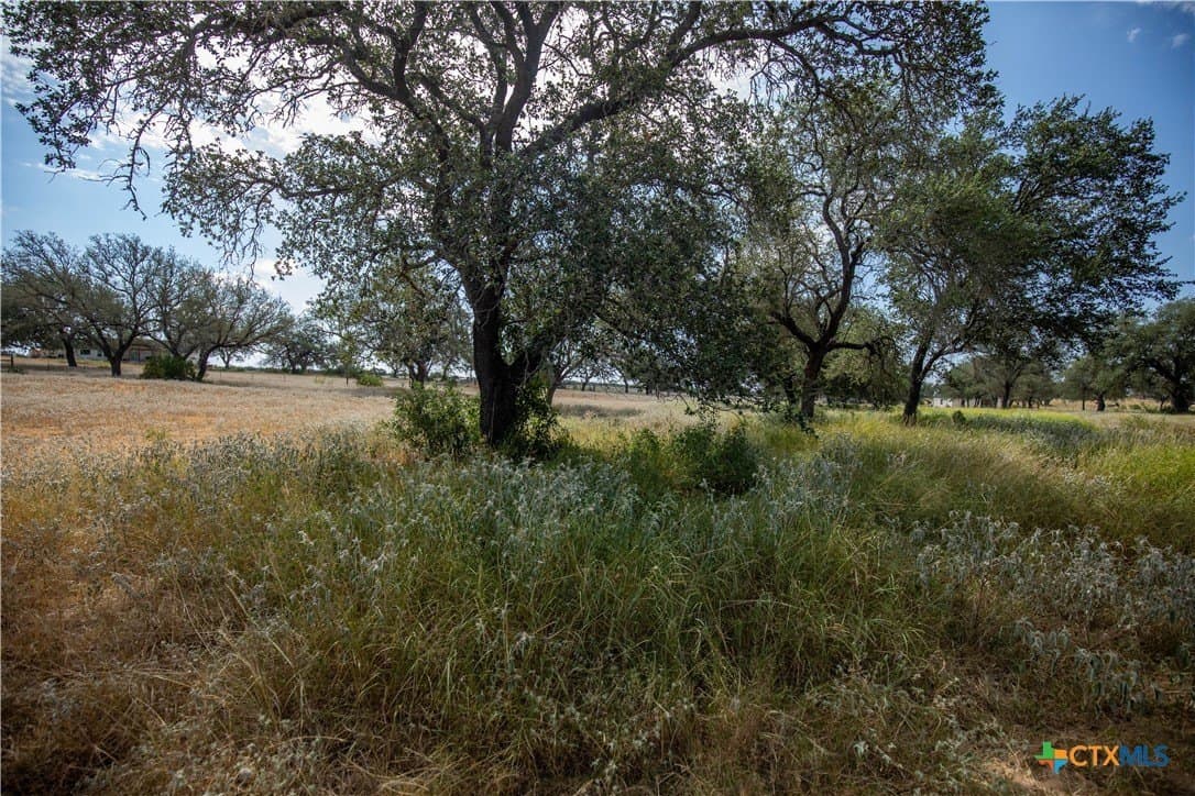 26.99 acres in Atascosa County - photo 45