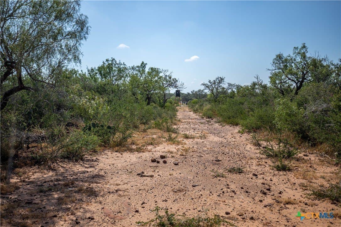 26.99 acres in Atascosa County - photo 33