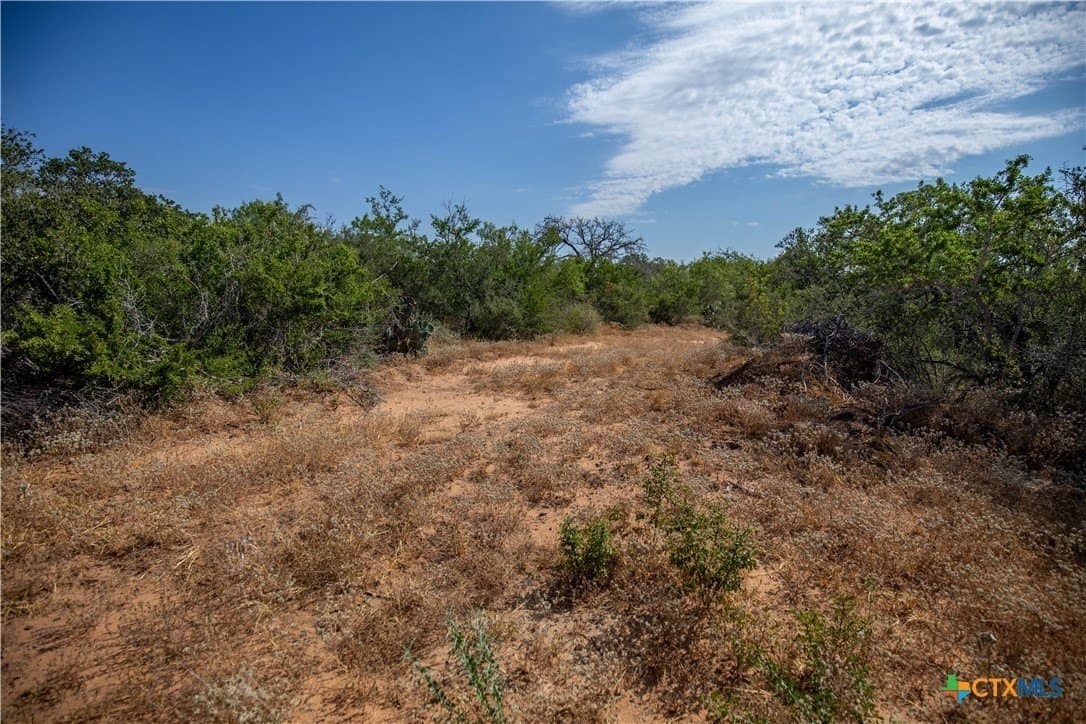 26.99 acres in Atascosa County - photo 38
