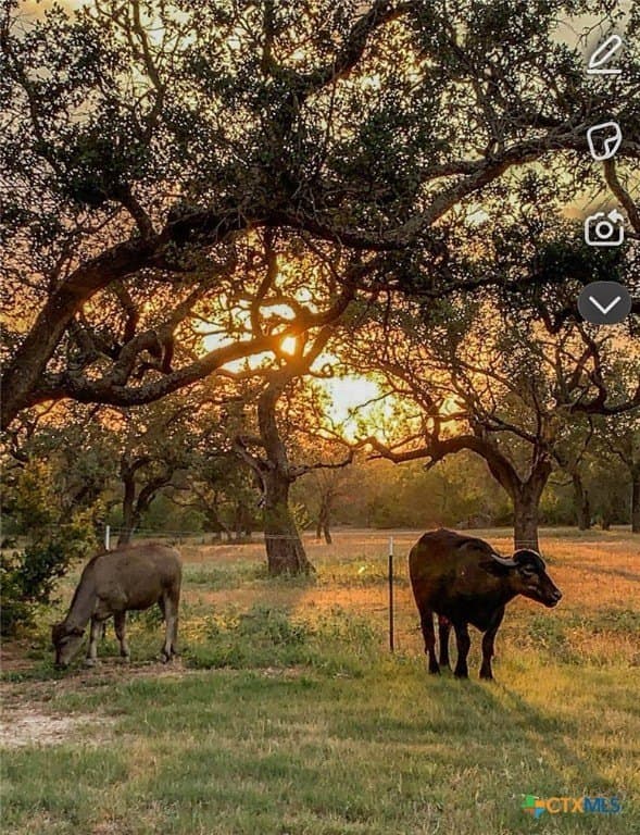 26.99 acres in Atascosa County - photo 4