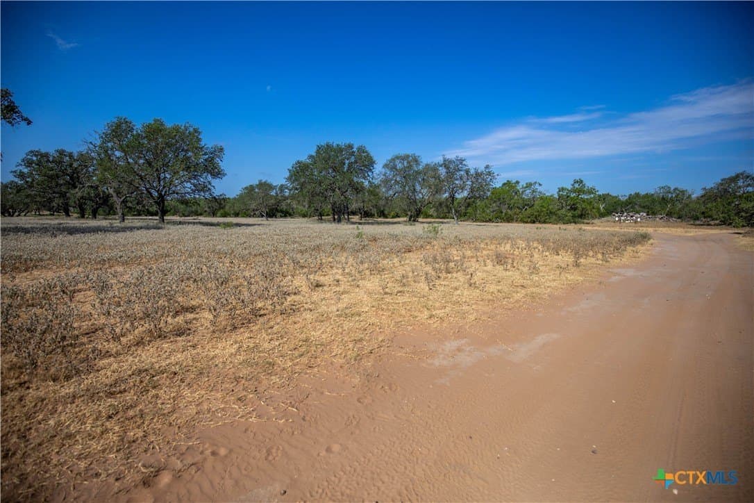 26.99 acres in Atascosa County - photo 14