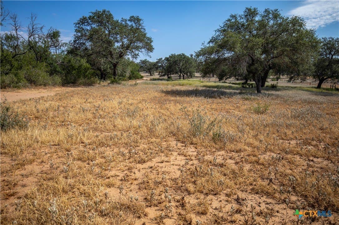 26.99 acres in Atascosa County - photo 40