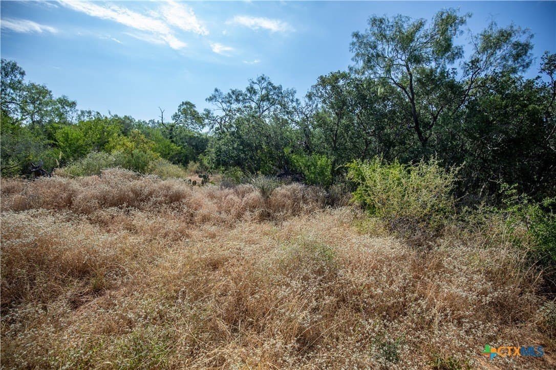 26.99 acres in Atascosa County - photo 22
