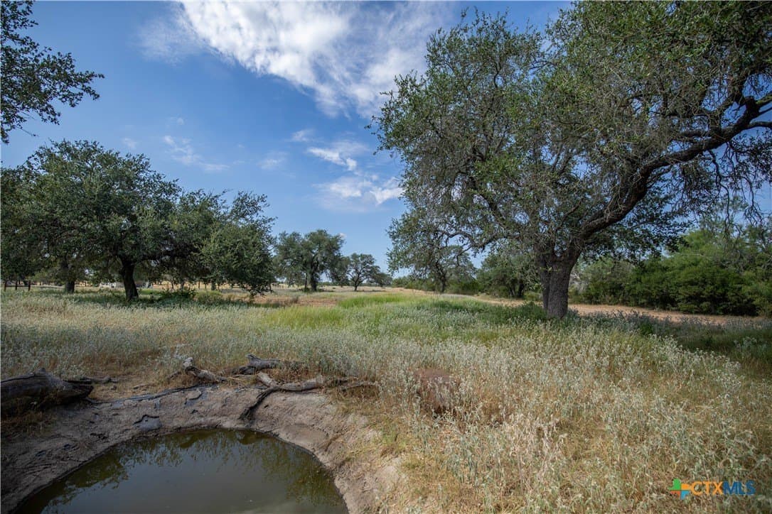 26.99 acres in Atascosa County - photo 12