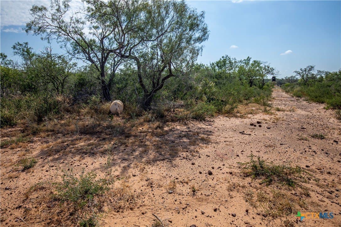 26.99 acres in Atascosa County - photo 35