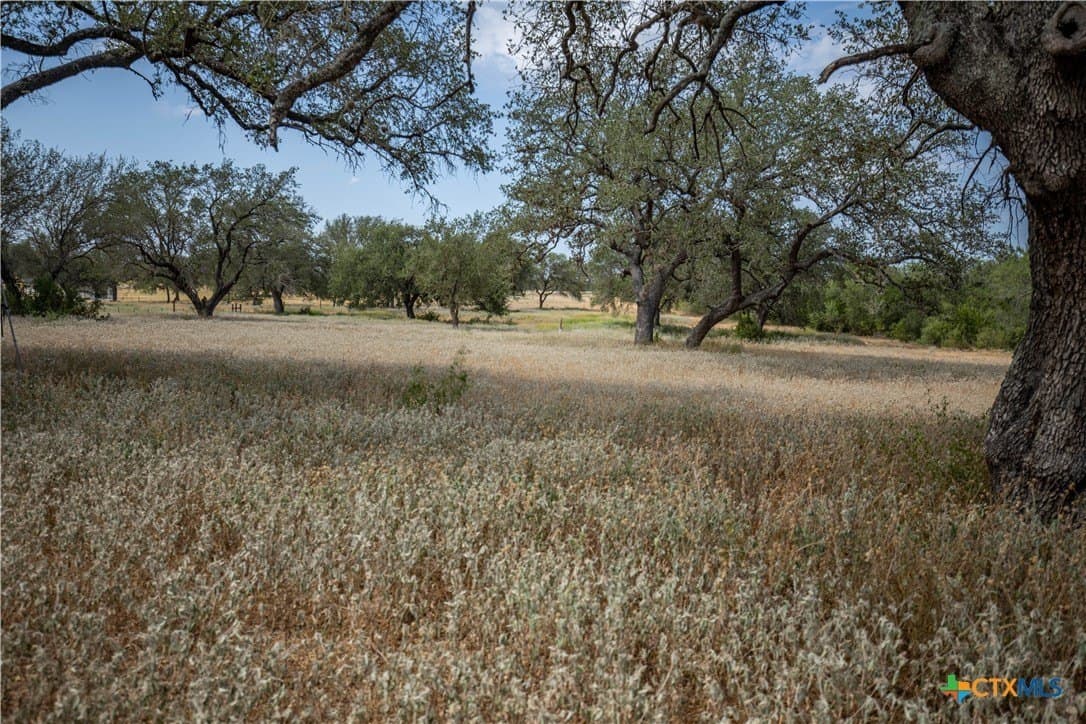 26.99 acres in Atascosa County - photo 44