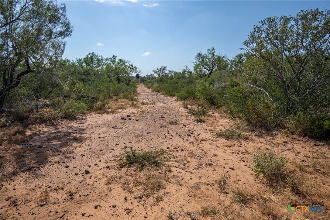 26.99 acres in Atascosa County - photo 34