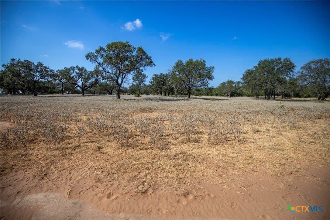 26.99 acres in Atascosa County - photo 13
