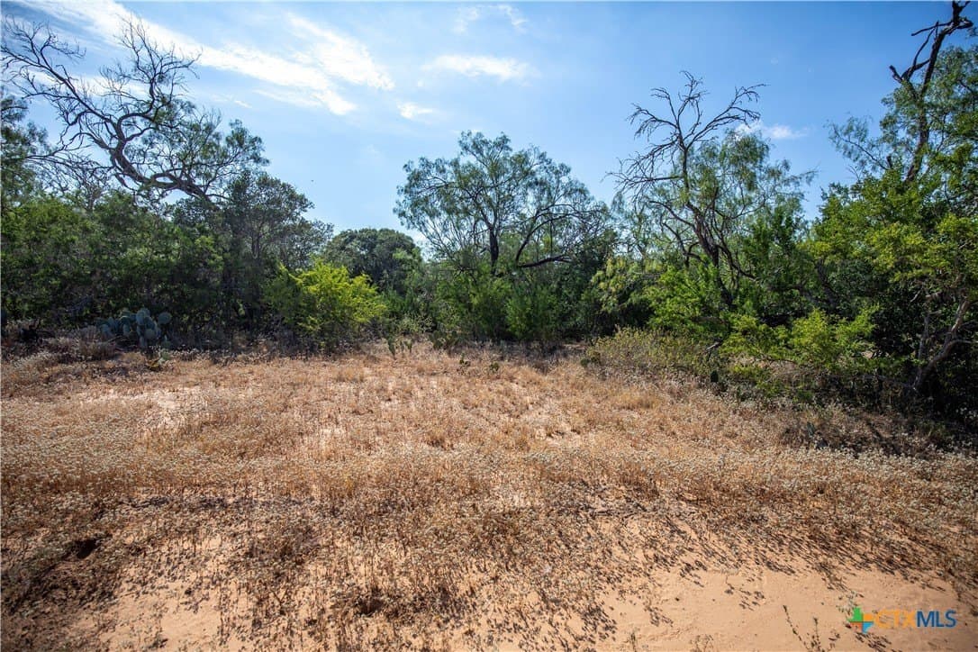 26.99 acres in Atascosa County - photo 21