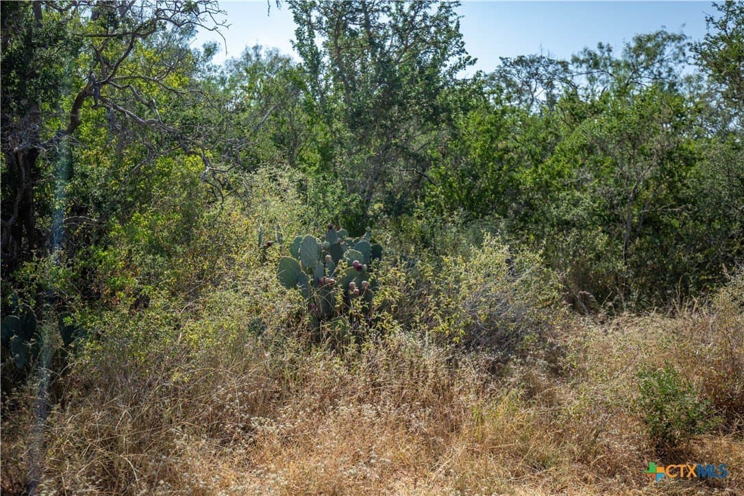 26.99 acres in Atascosa County - photo 23
