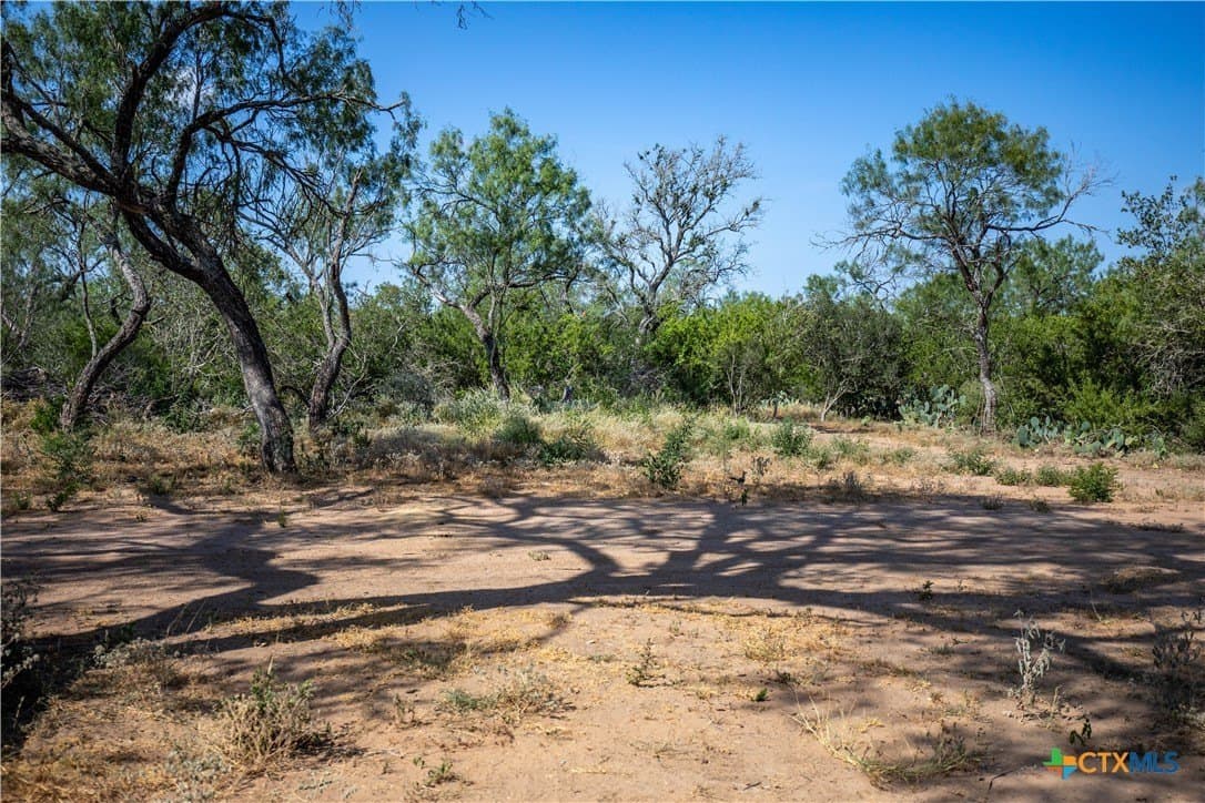 26.99 acres in Atascosa County - photo 18