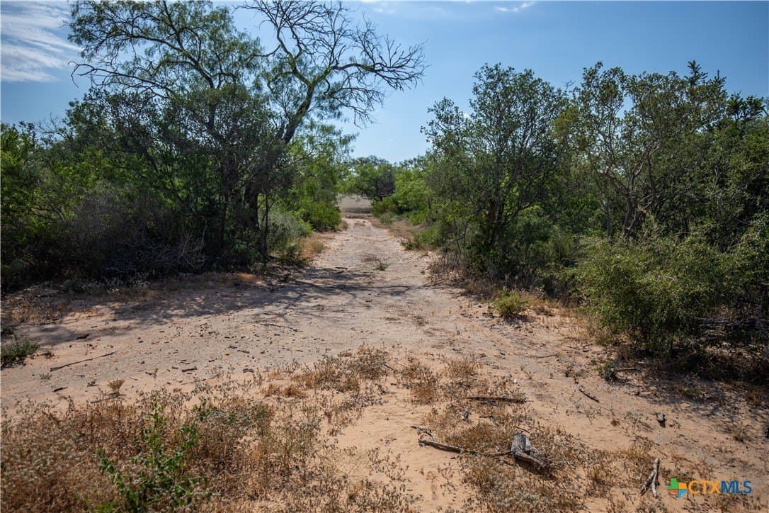 26.99 acres in Atascosa County - photo 24