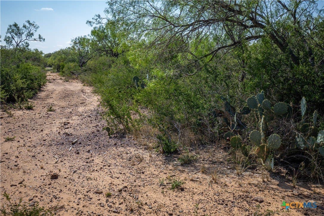 26.99 acres in Atascosa County - photo 32