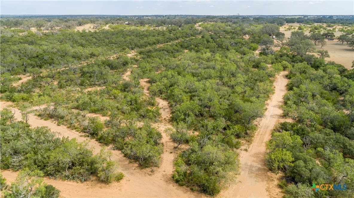 26.99 acres in Atascosa County - photo 5