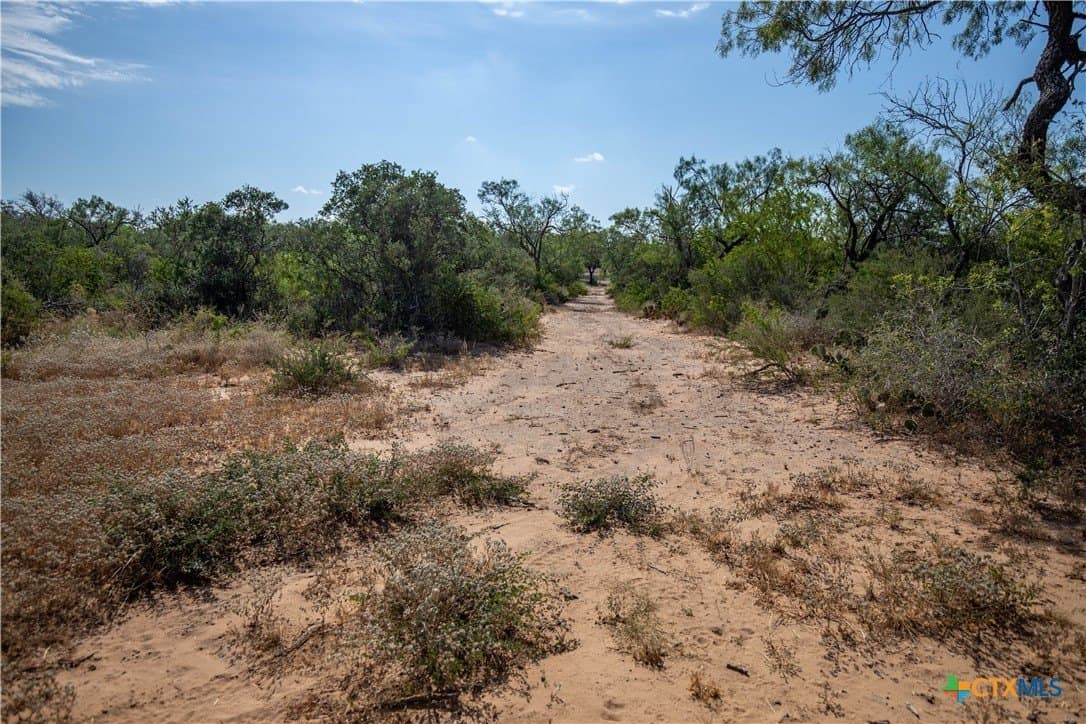 26.99 acres in Atascosa County - photo 25