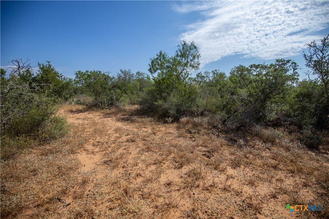 26.99 acres in Atascosa County - photo 37