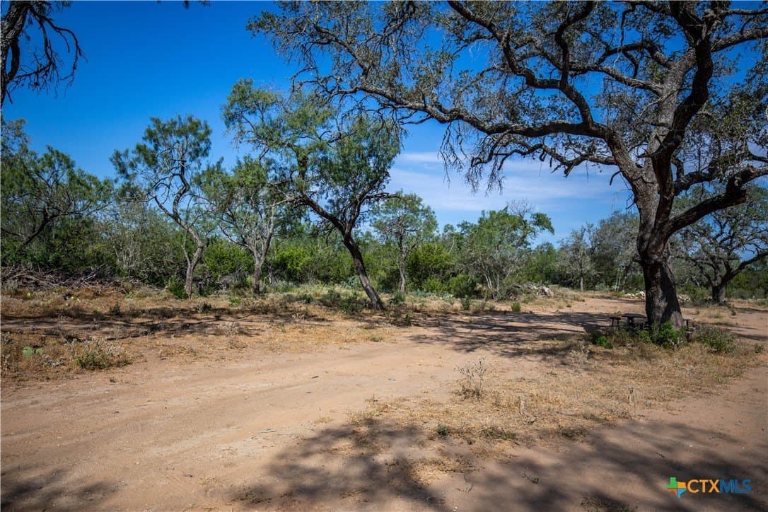 26.99 acres in Atascosa County - photo 17