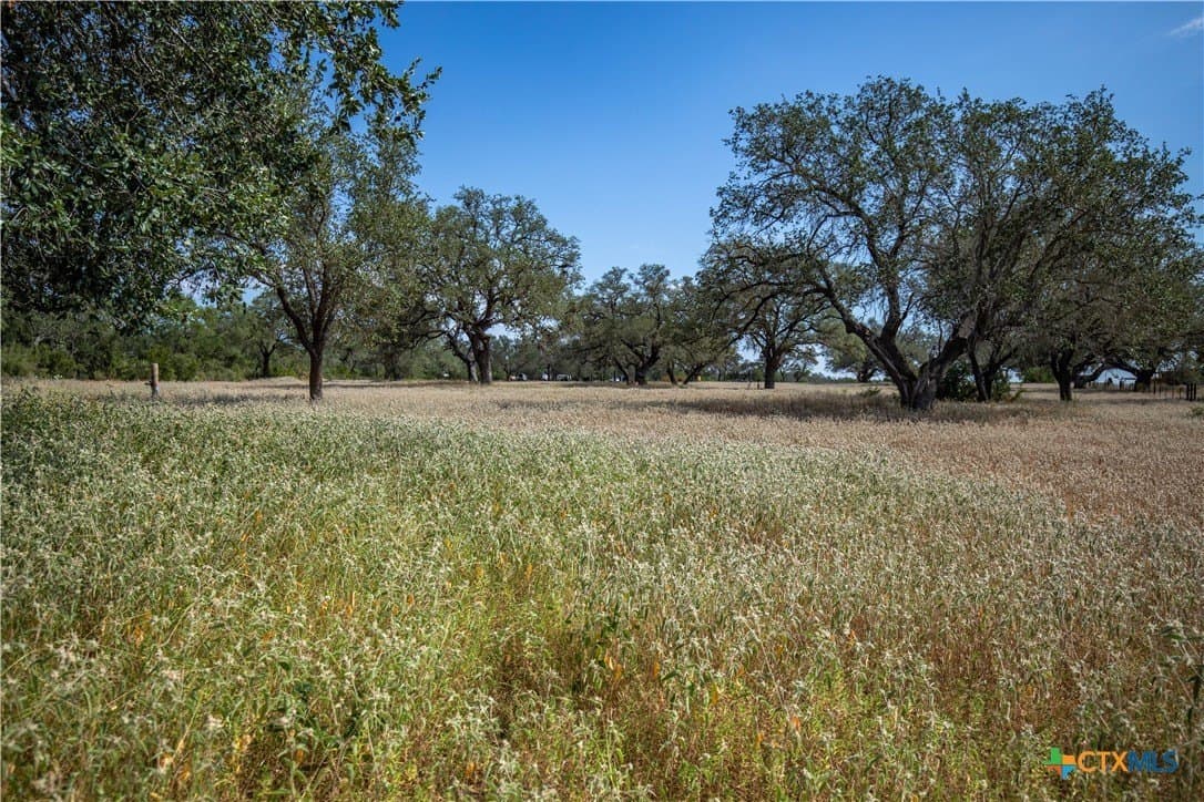 26.99 acres in Atascosa County - photo 42