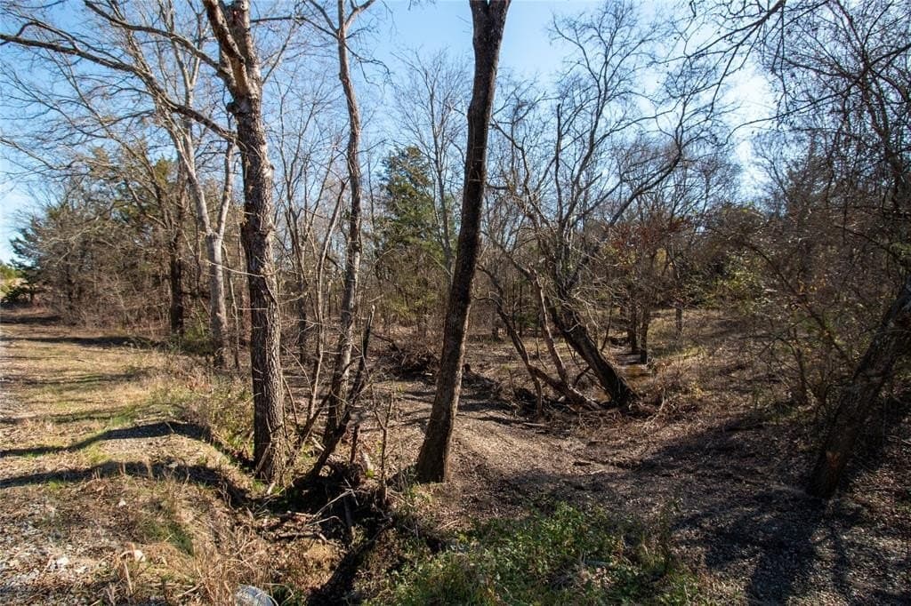 1.64 acres in Fannin County - photo 2