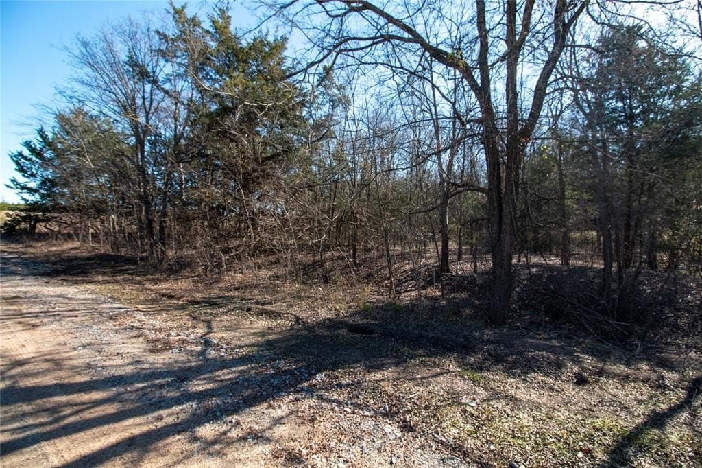 1.64 acres in Fannin County - photo 9