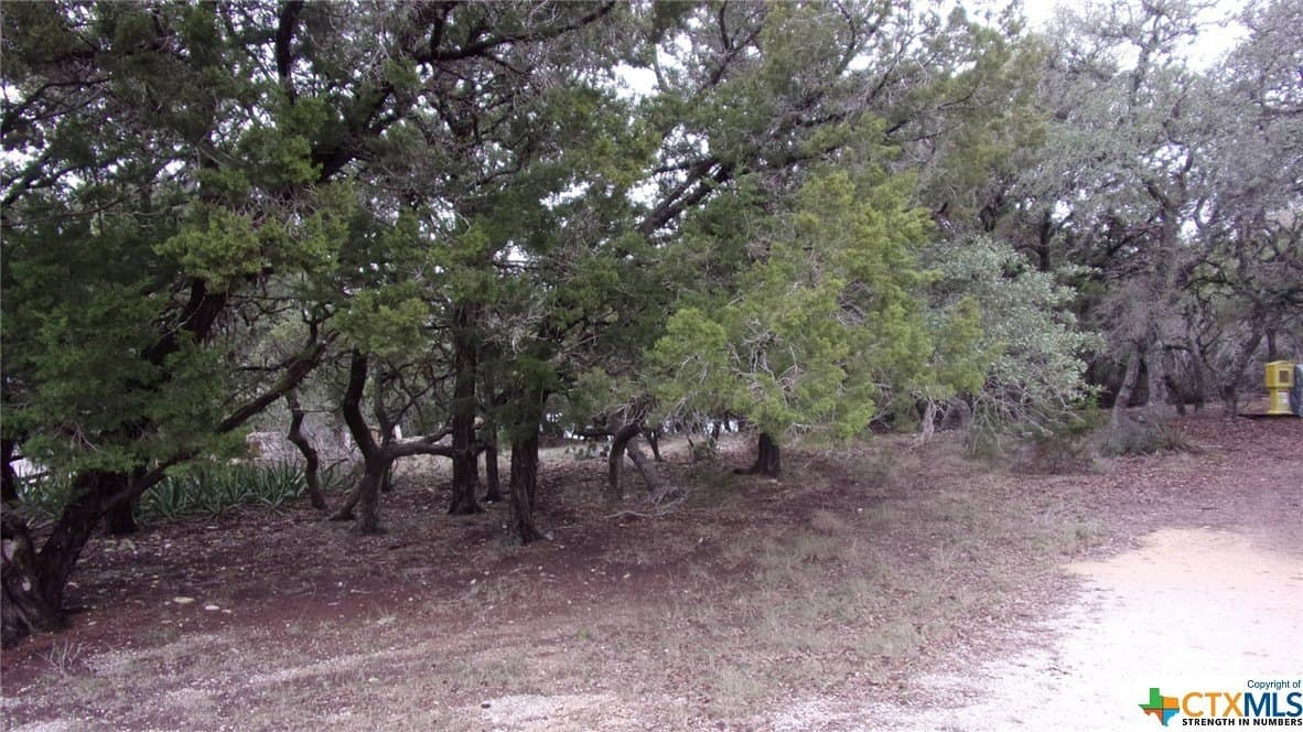 0.39 acres in Comal County - photo 2