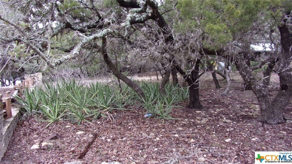 0.39 acres in Comal County - photo 3