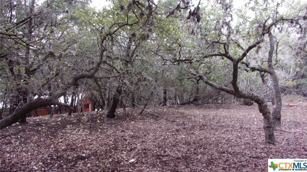 0.39 acres in Comal County - photo 5