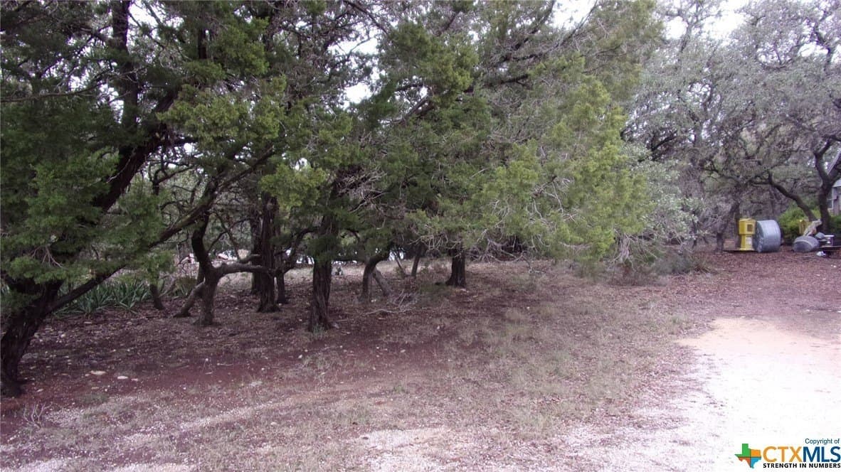 Mountain Wood lot: 46