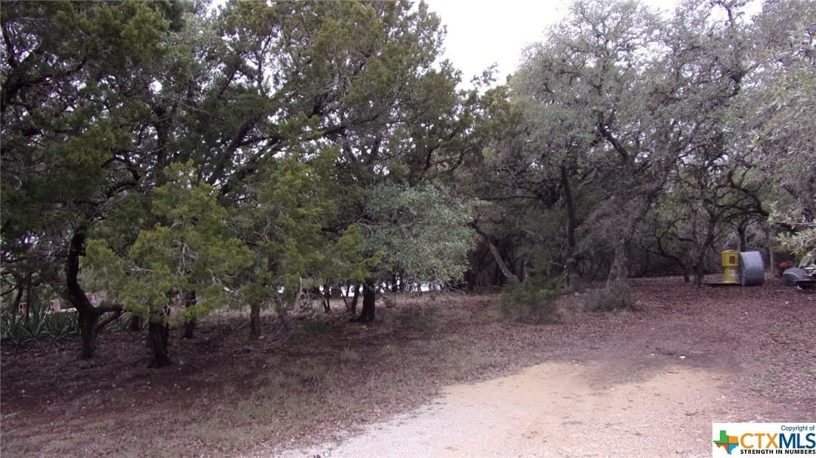 0.39 acres in Comal County - photo 4