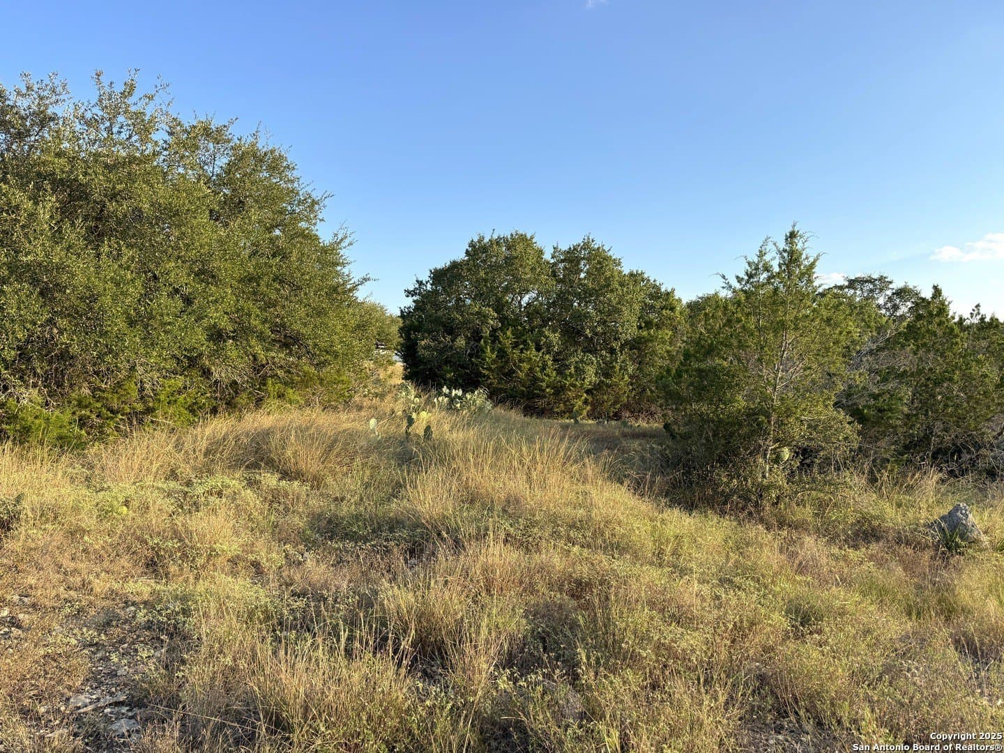 0.71 acres in Comal County - photo 5