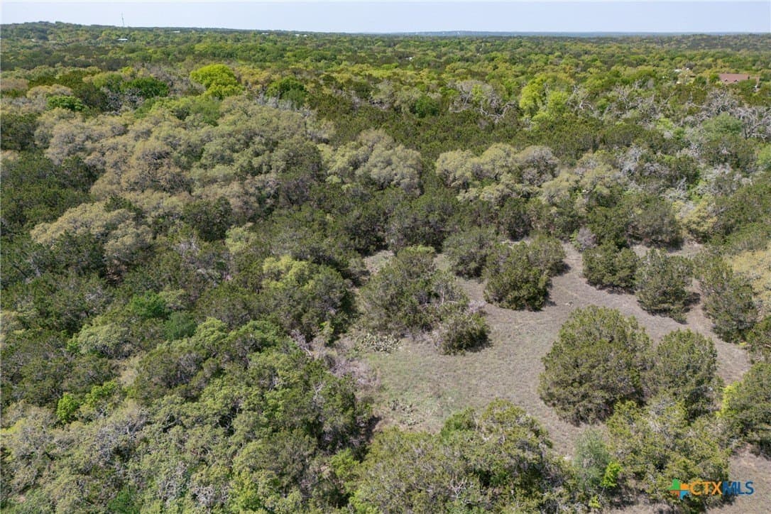 11 acres in Hays County - photo 12