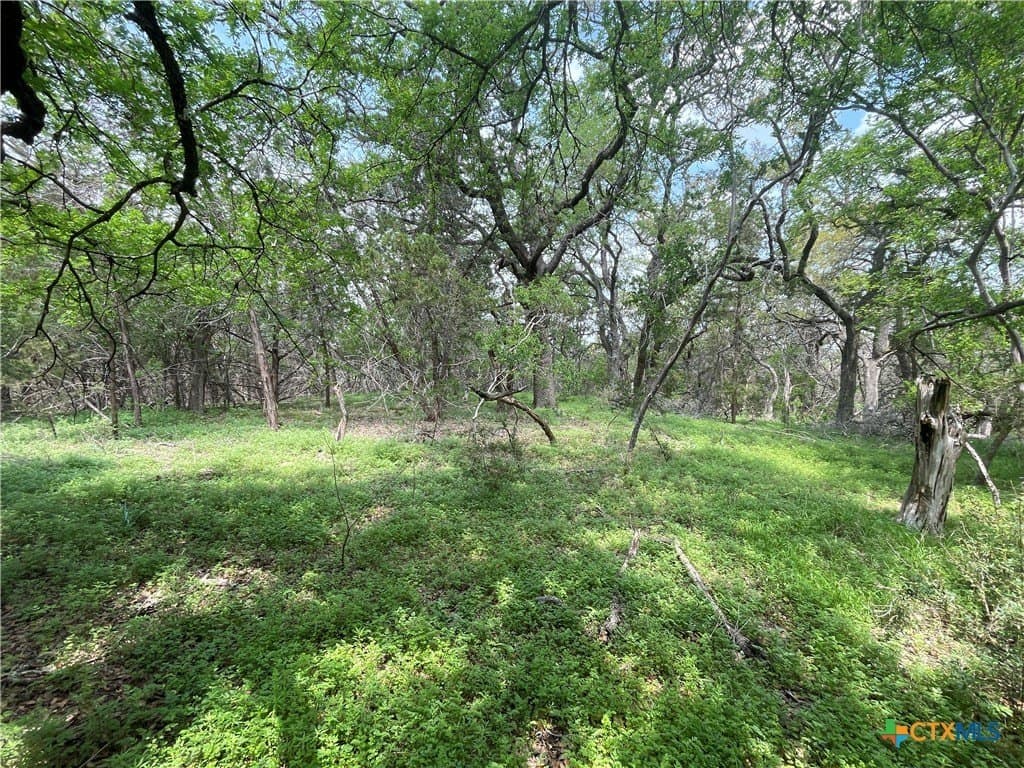 11 acres in Hays County - photo 3