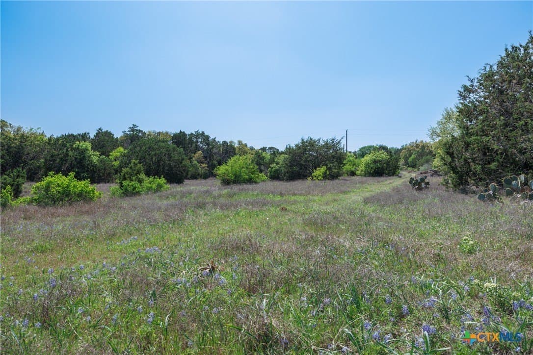 11 acres in Hays County - photo 7