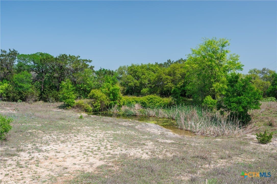 11 acres in Hays County - photo 5