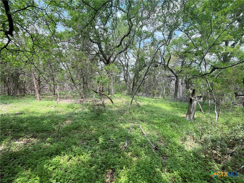 11 acres in Hays County - photo 4