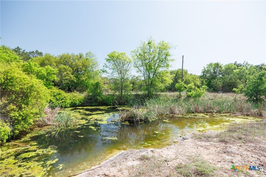 11 acres in Hays County - photo 6