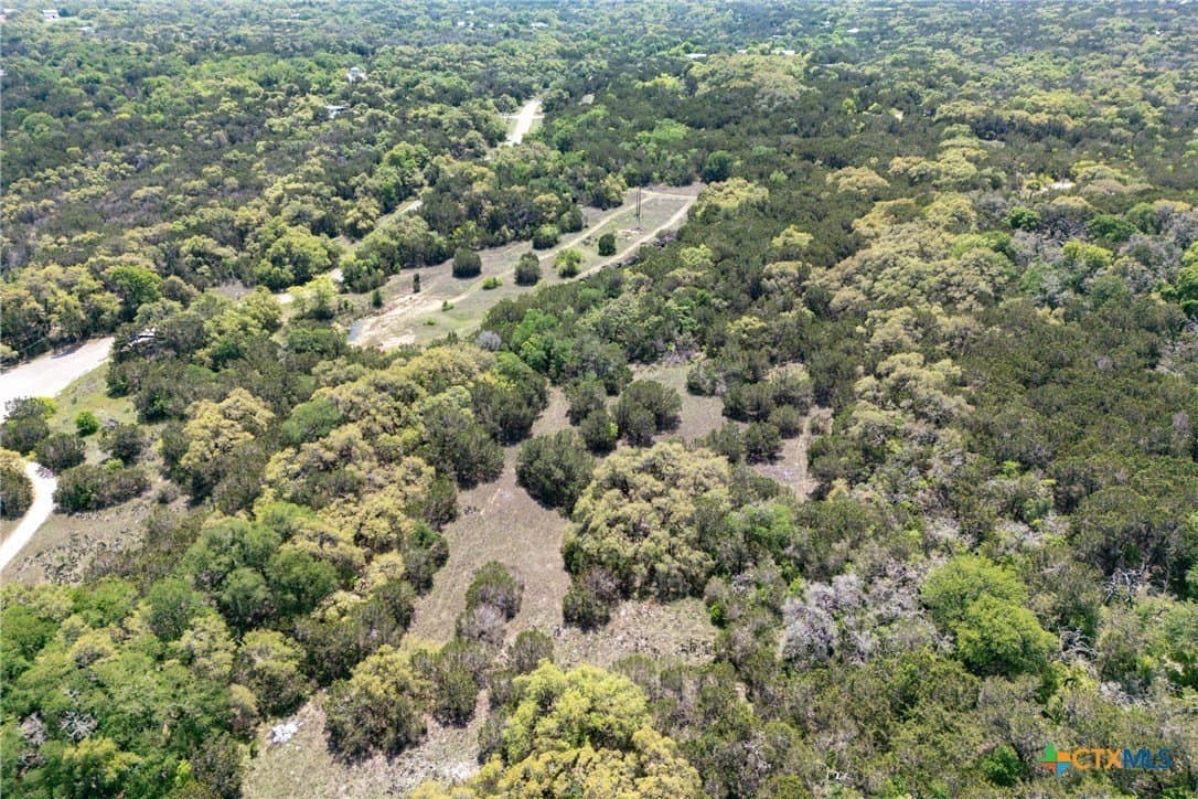 11 acres in Hays County - photo 9