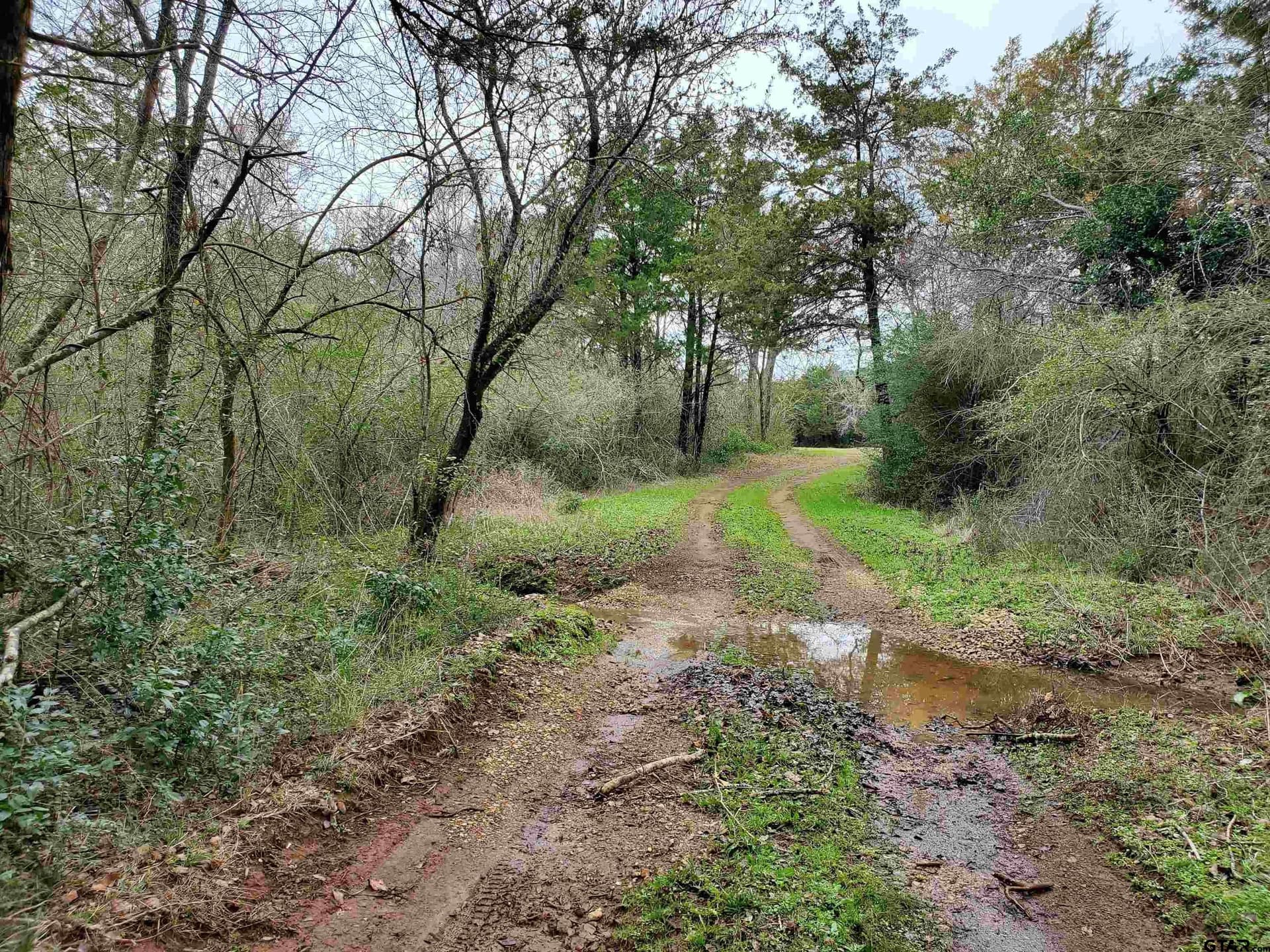 80.01 acres in Cherokee County - photo 9