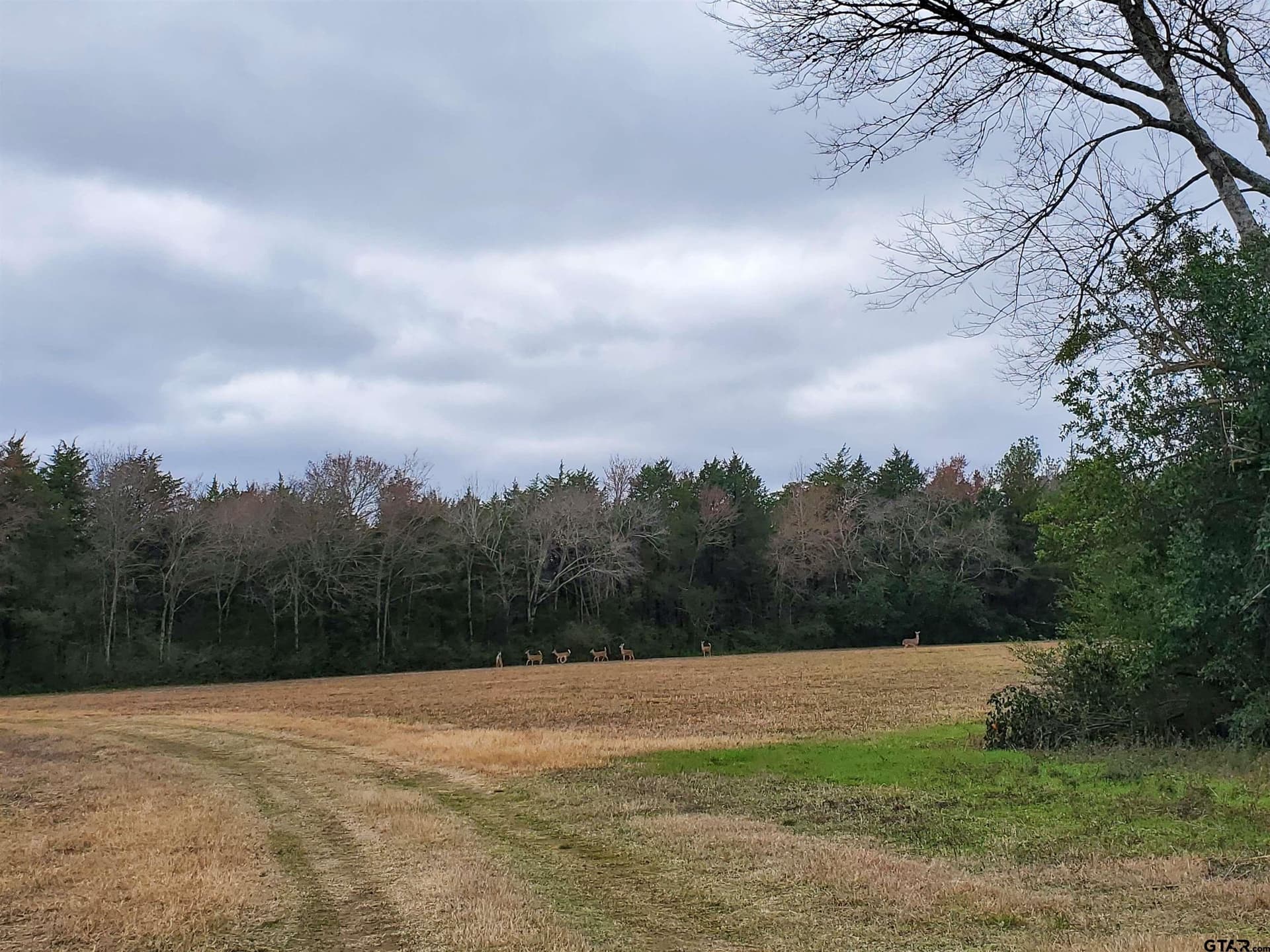 80.01 acres in Cherokee County - photo 6