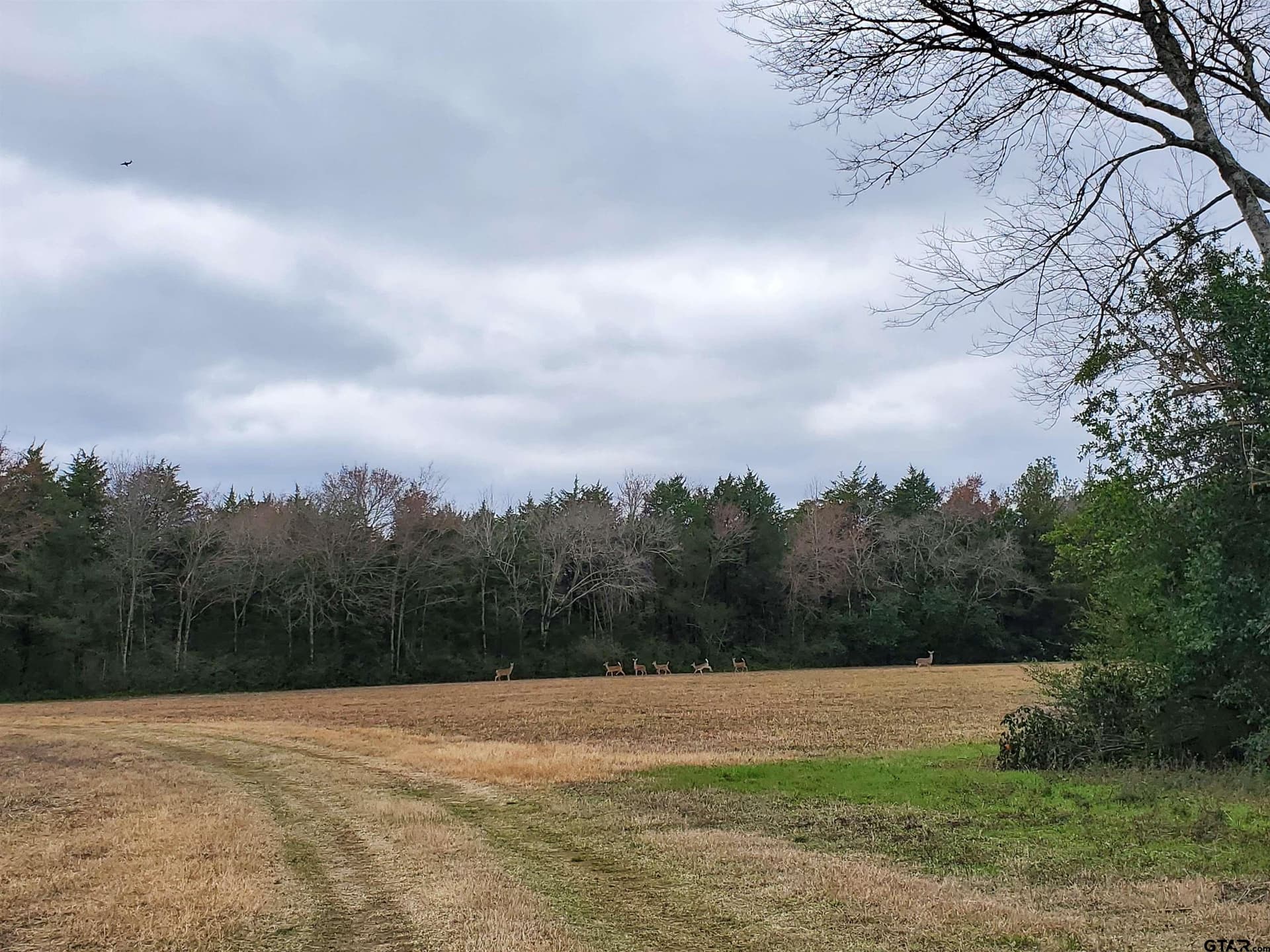 80.01 acres in Cherokee County - photo 3