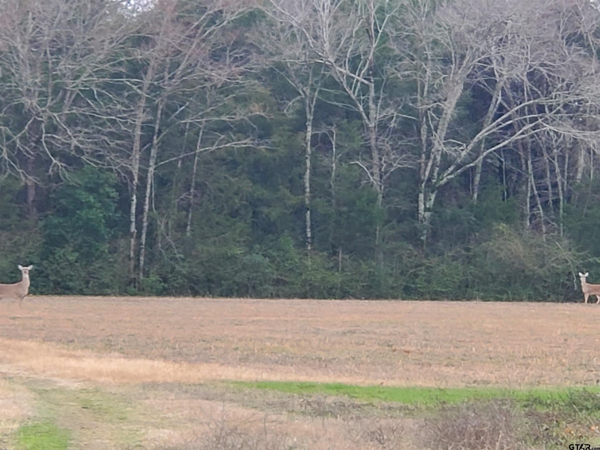 80.01 acres in Cherokee County - photo 8