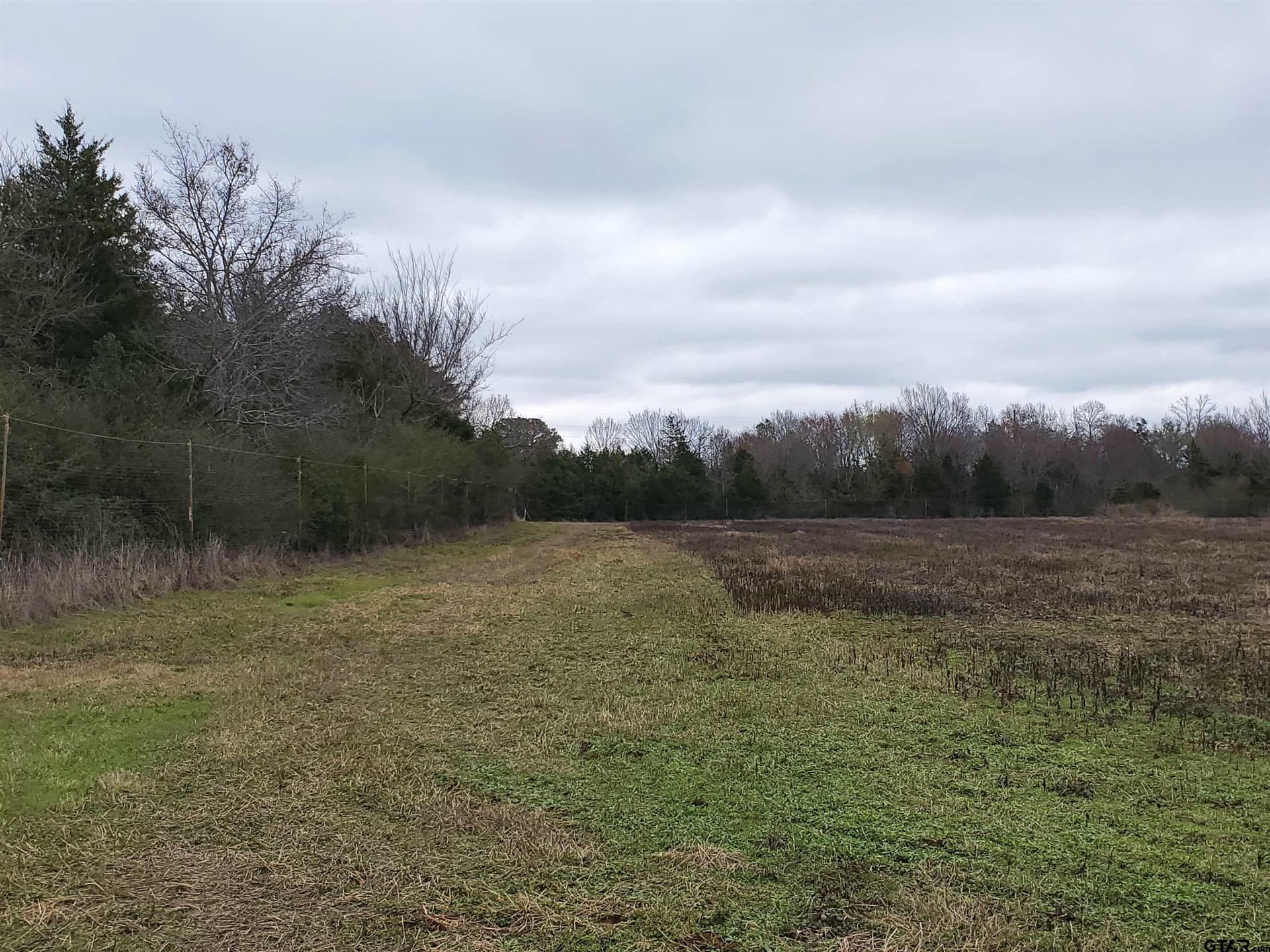 80.01 acres in Cherokee County - photo 4