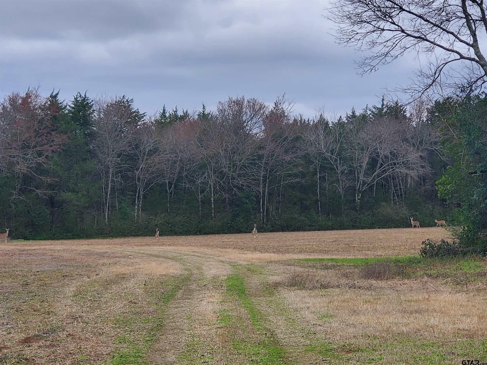 80.01 acres in Cherokee County - photo 2