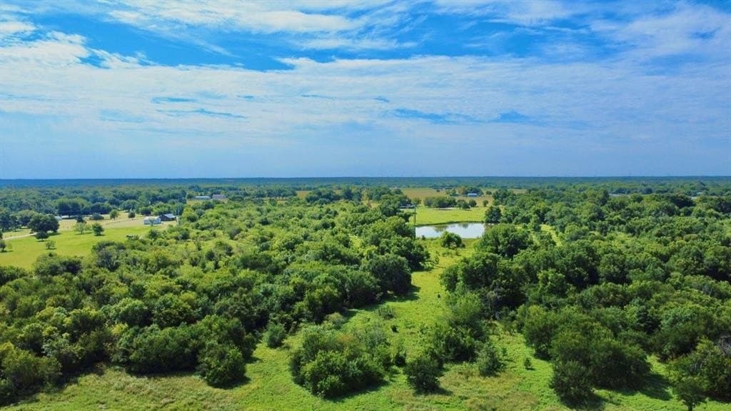 18.95 acres in Navarro County - photo 23