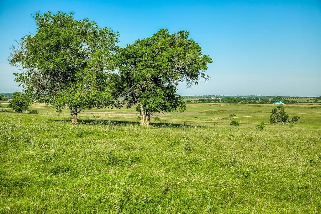 10.41 acres in Washington County - photo 4