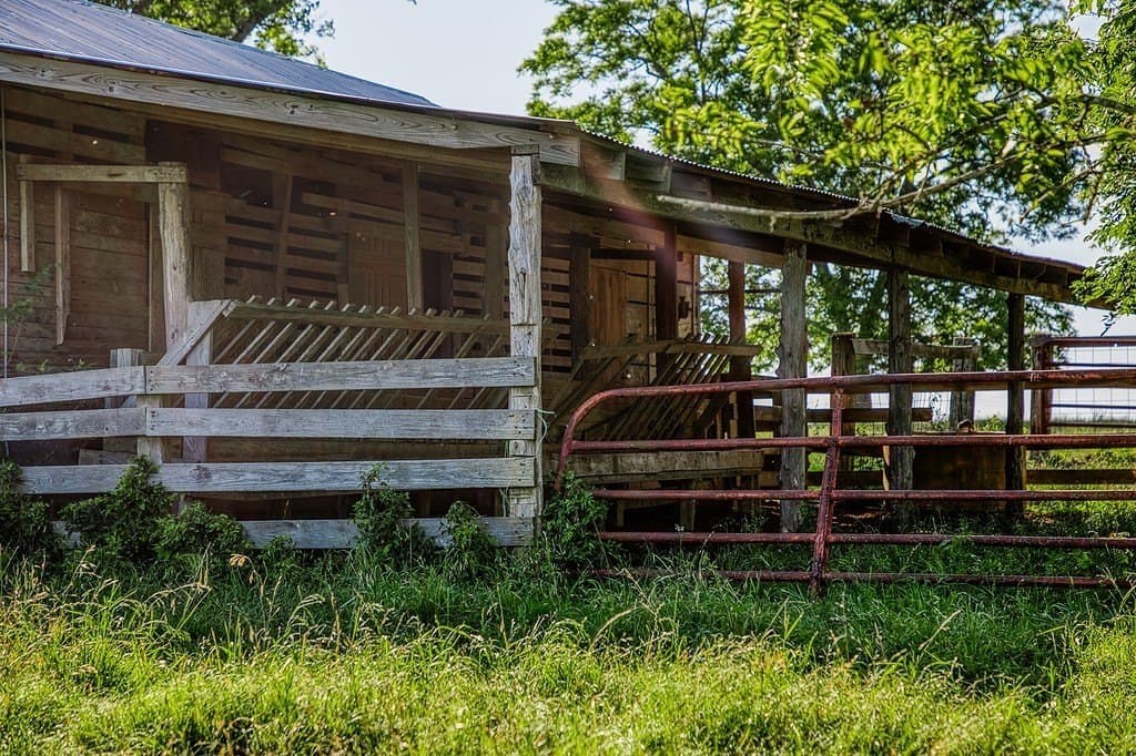 10.41 acres in Washington County - photo 7