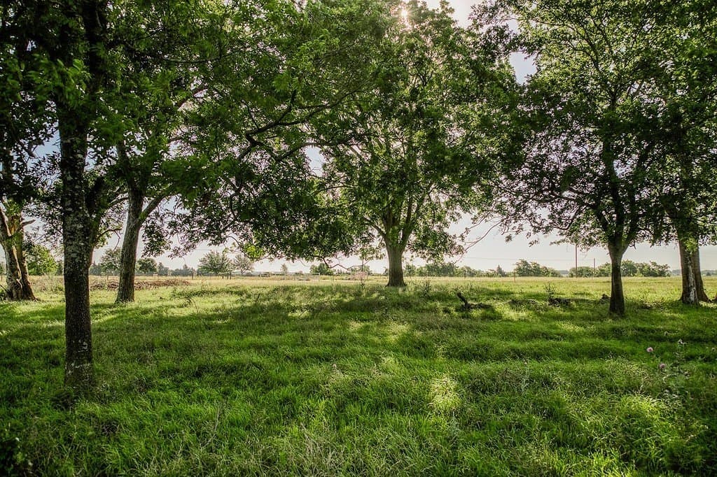 10.41 acres in Washington County - photo 8
