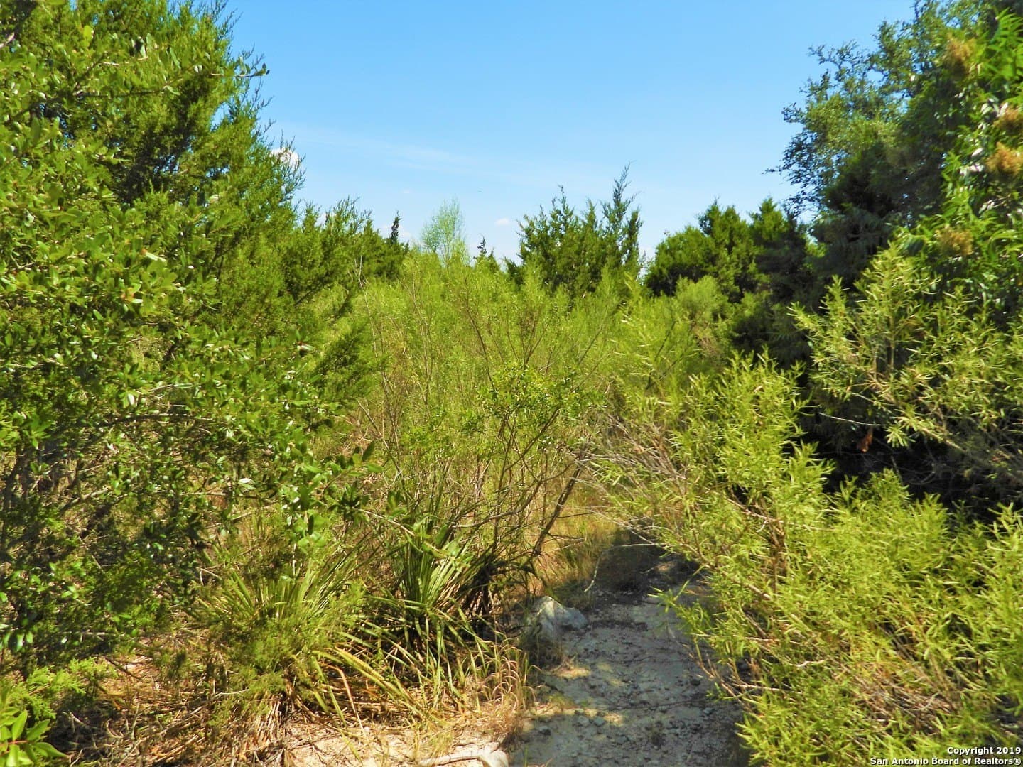 0.47 acres in Bandera County - photo 9