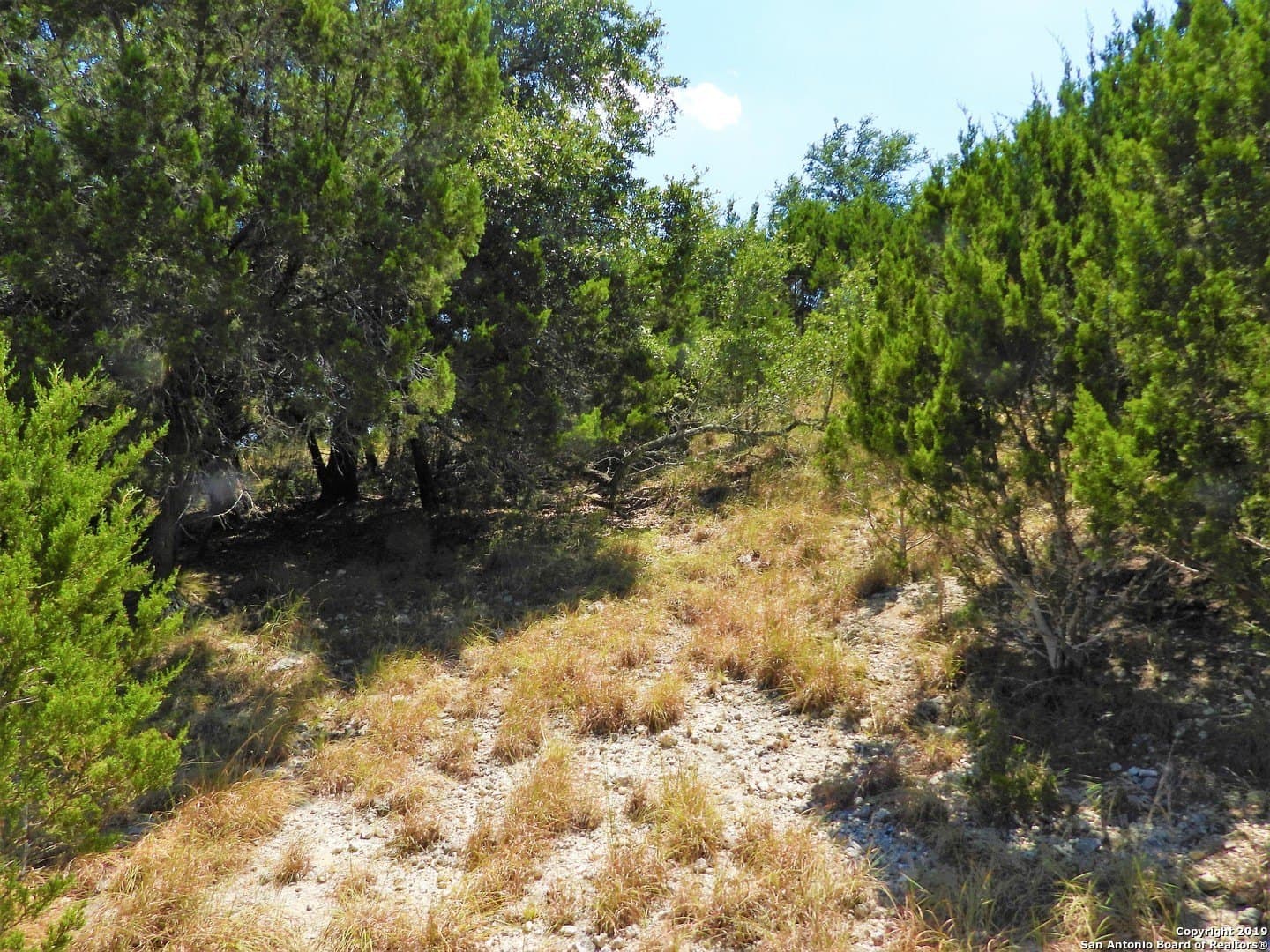 0.47 acres in Bandera County - photo 5