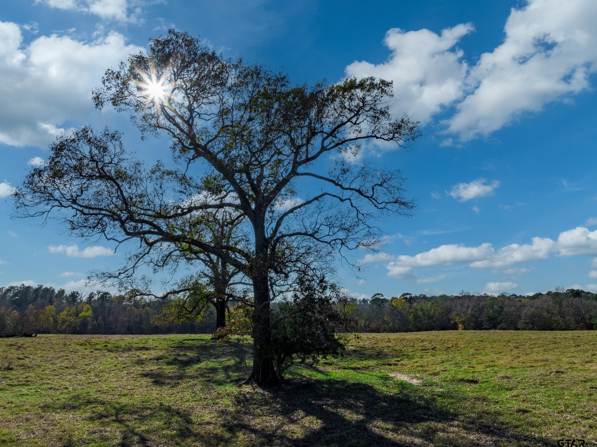 38 acres in Anderson County - photo 4